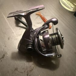 Spinning And Bait Caster Reels