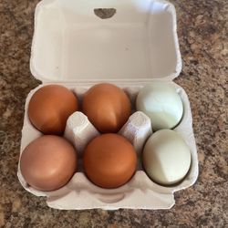 Farm fresh eggs extra large