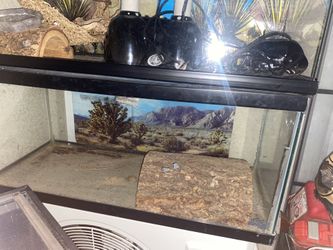 Reptile Tank