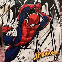 Spiderman Canvas