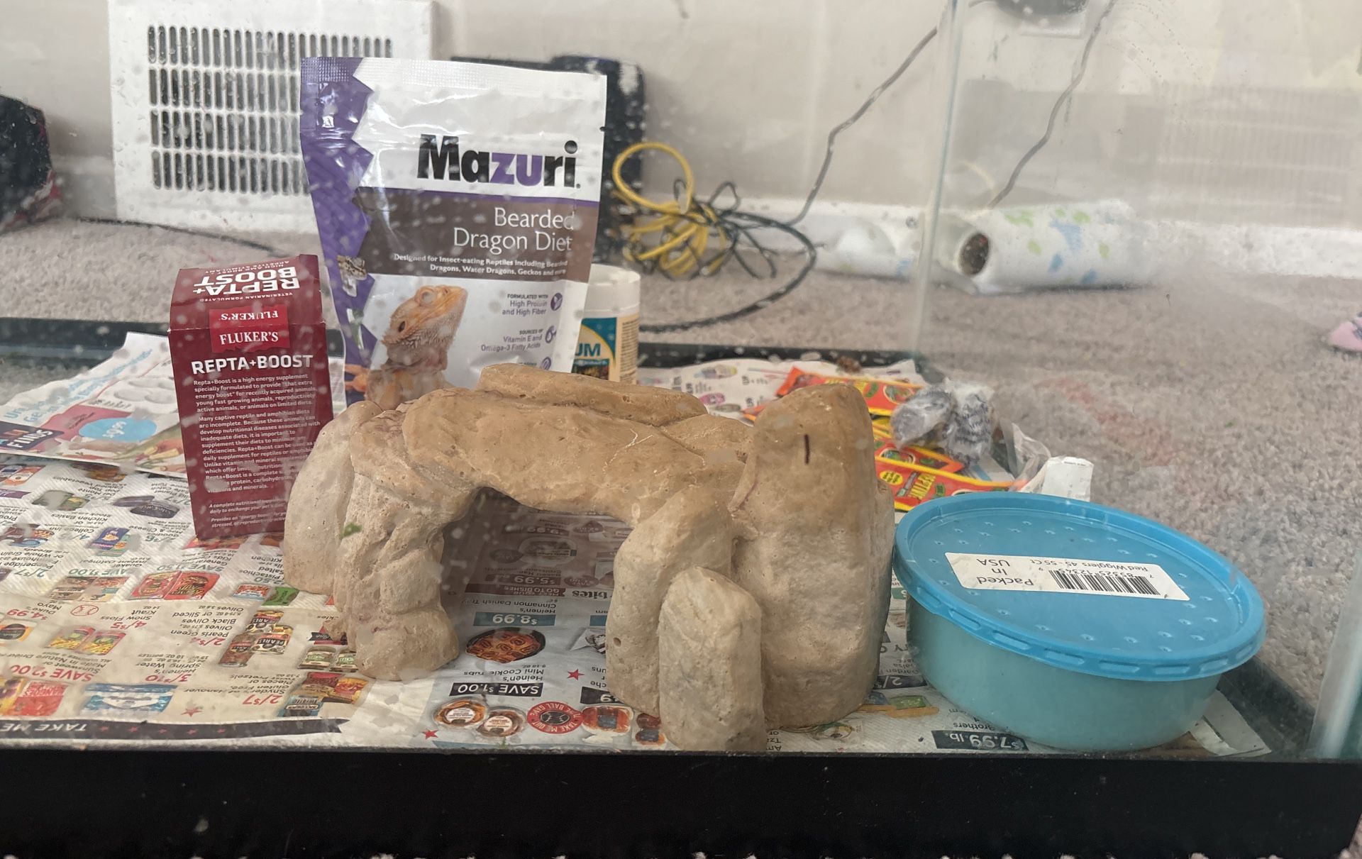 Bearded dragon tank/Enclosure