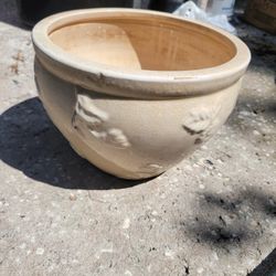 Terracota  Para Plantas./ Kissimmee Fl 34741/