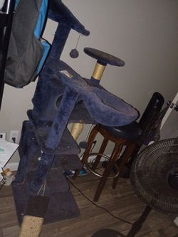 Cat tower
