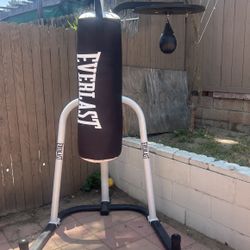 Everlast Punching Bag
