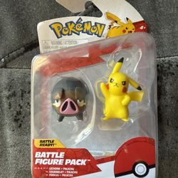 Pokemon Toy