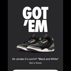 levi x jordan collab (jordan 3 & levi Tee)