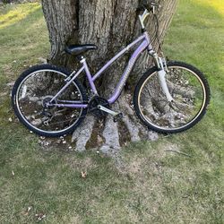 26” Schwinn Mountain Bike 