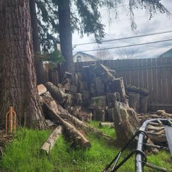 Wood U Cut U Haul.. 20.00