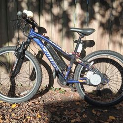 24" Schwinn E-Bike,New Motor & Battery