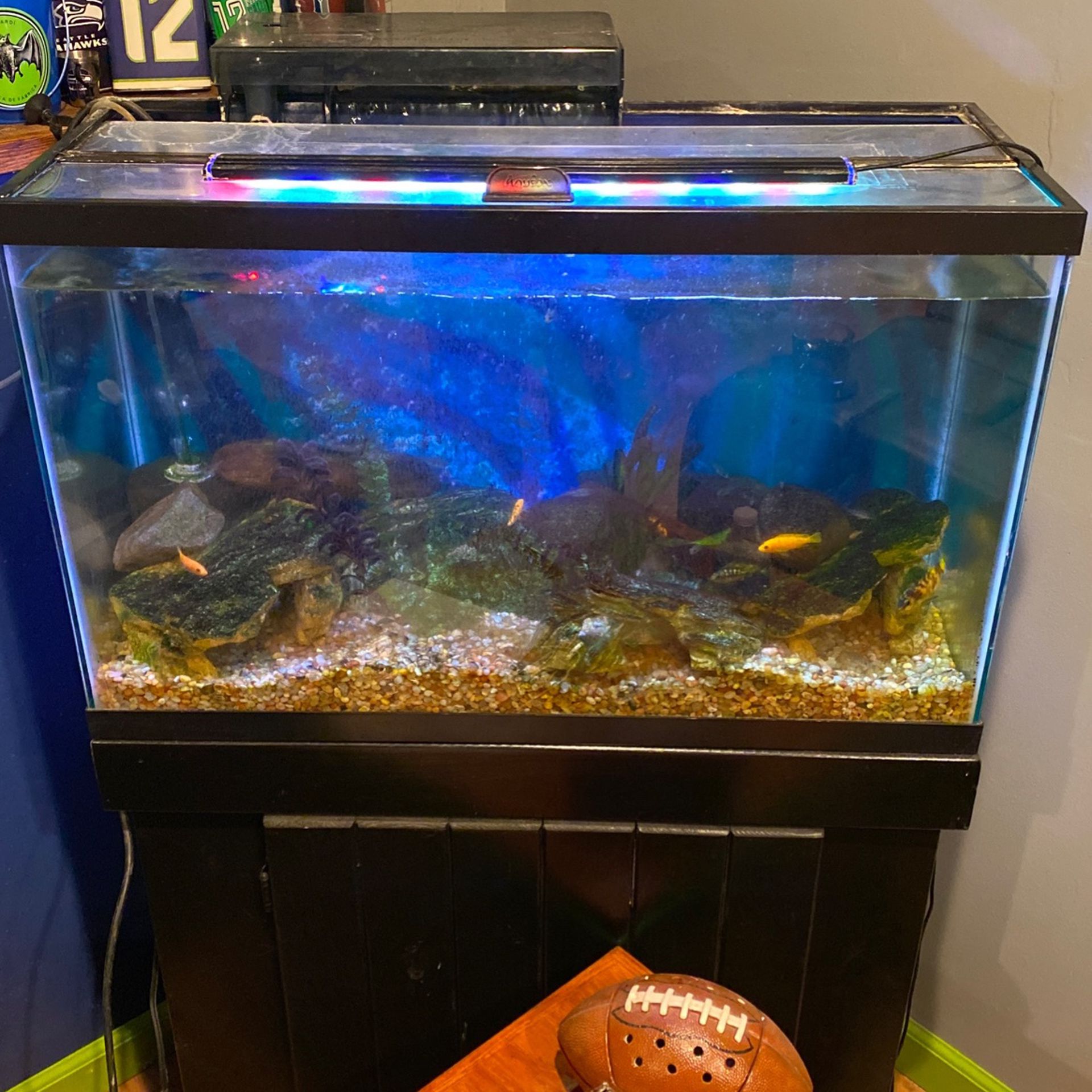 29 Gallon Aquarium With Stand Lid Light And Aquaclear 110 Filter Fish Not Included