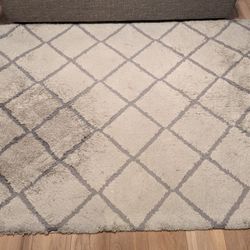 Plush Area Rug