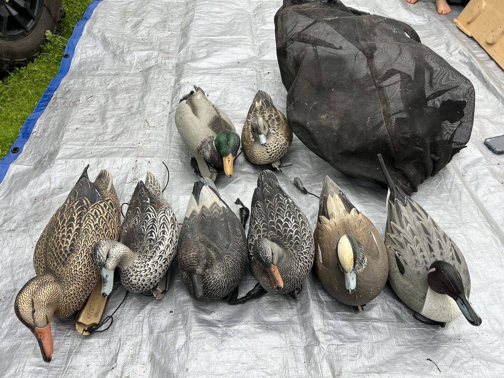 Duck Decoys
