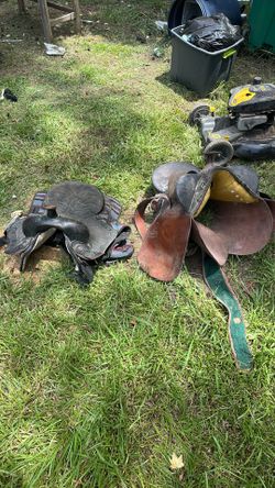 Antique saddles