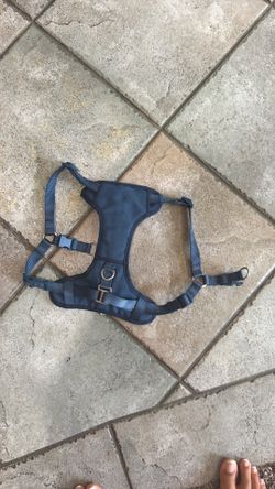 dog harness 