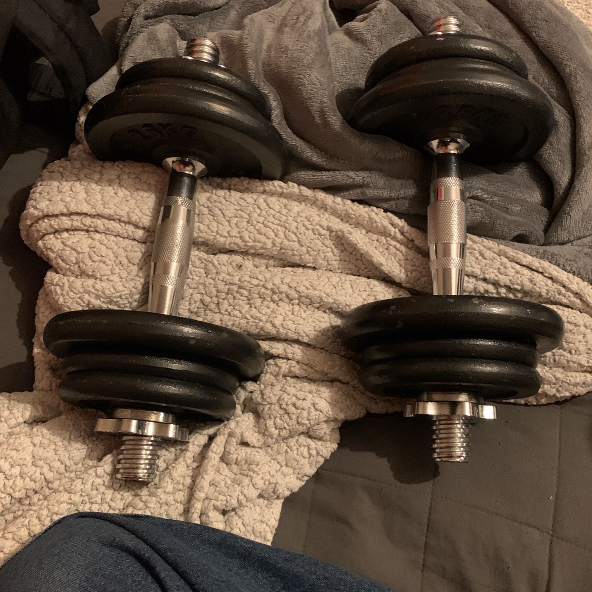 2 25lbs Dumbbells 