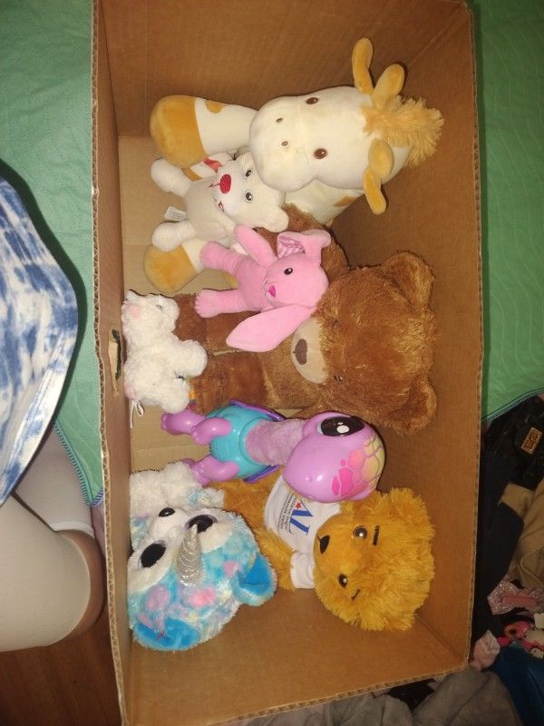 Free Need Gone Asap