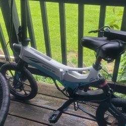 ebike