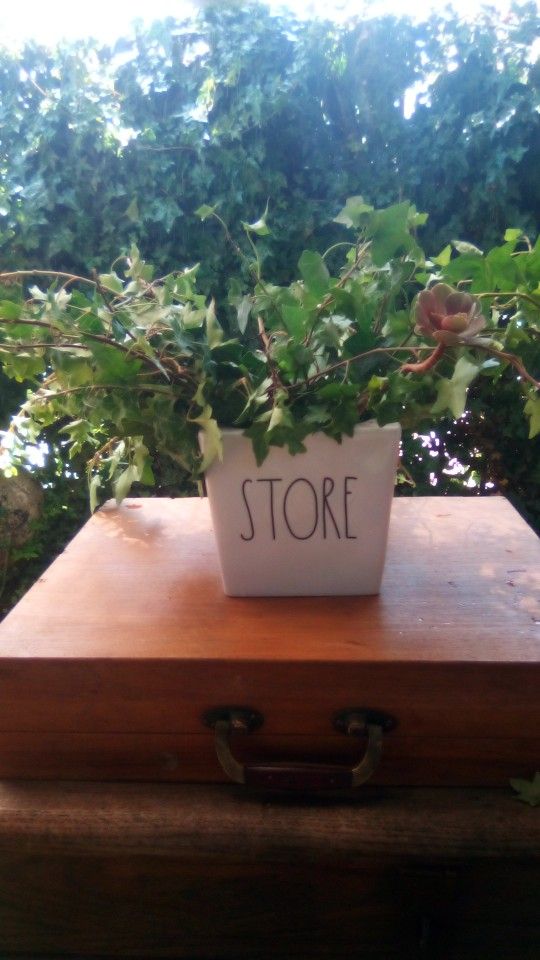 Rae Dunn Flower Pot With English Ivy