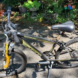 Schwinn 24 Inch Mountain Bike