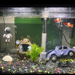 Fish Tank