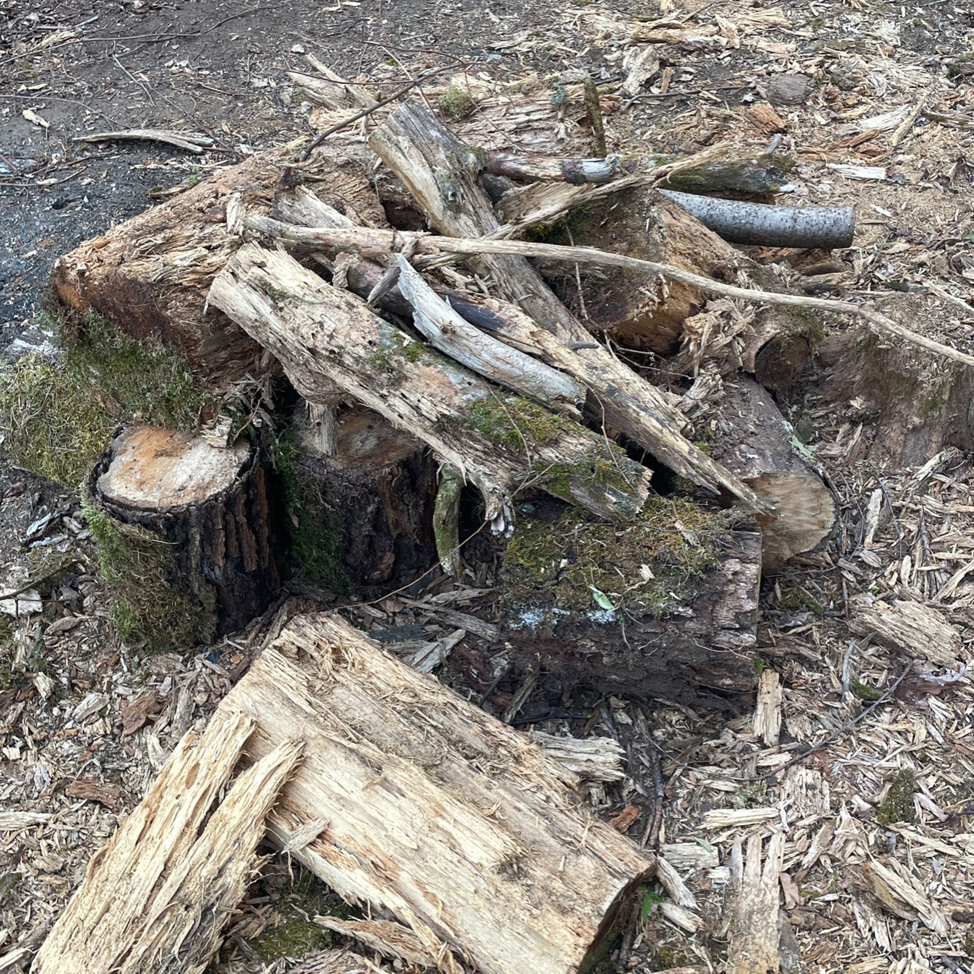 Free Logs