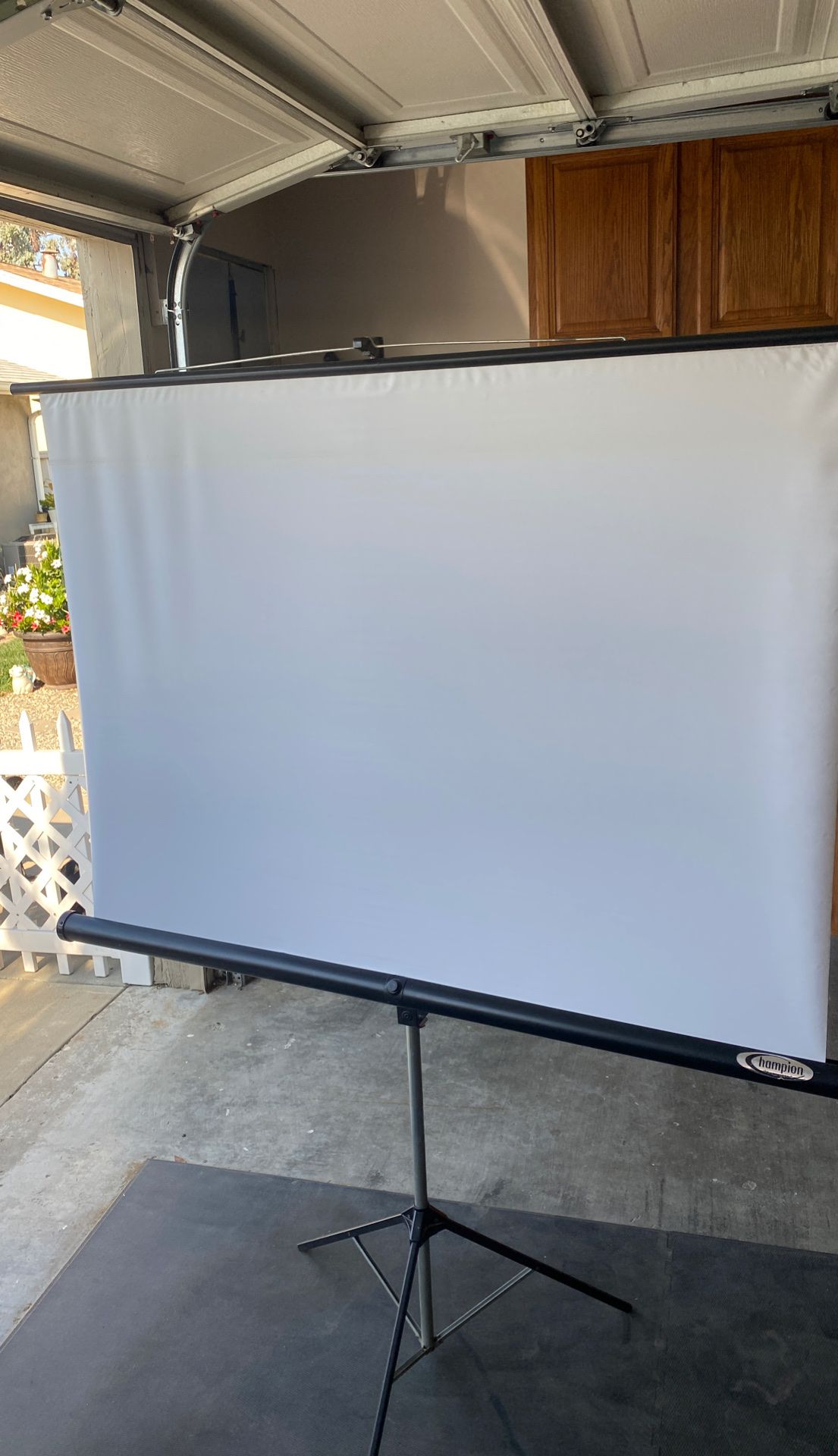 Champion projector screen with stand