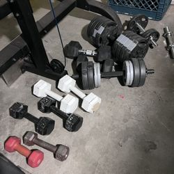 Dumbbells And Trap Deadlift Bar 