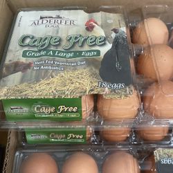 Grade A Large Eggs 