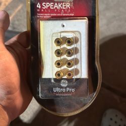 Speaker Wall Plate