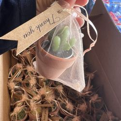 Succulent Candle Decor