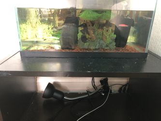 10 gallon fish tank everything included in picture!