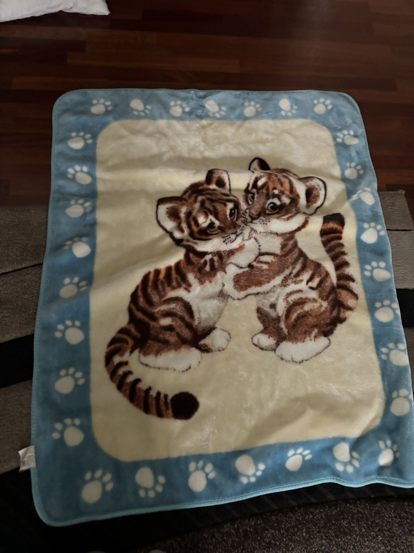 Baby boy Blanket
