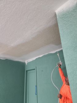 Painter Interior & Exterior
