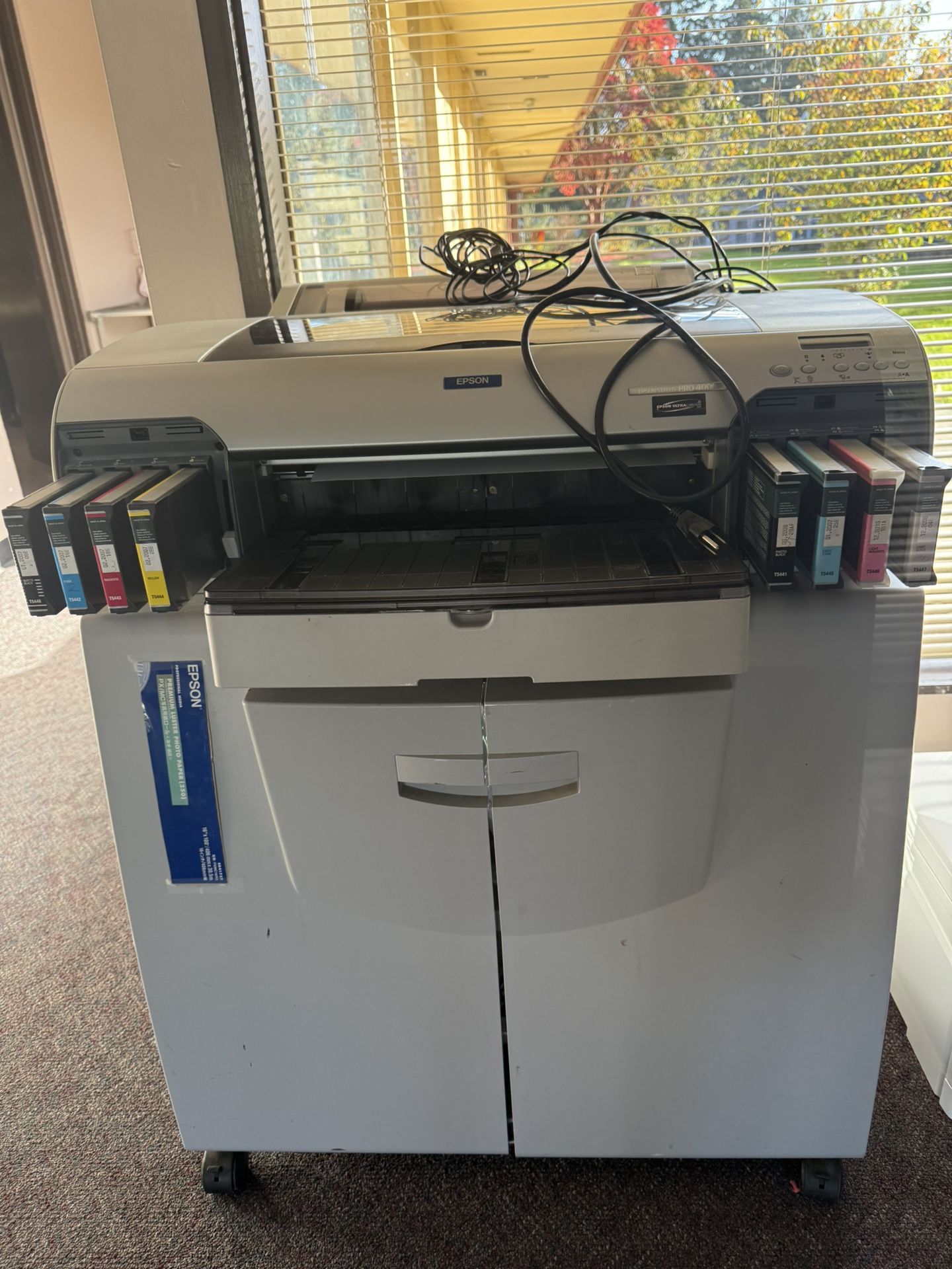 Professional Printer