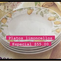 Platos Grandes Especial $55.00 Set De 4 Marbella Limocellos  Princess House 