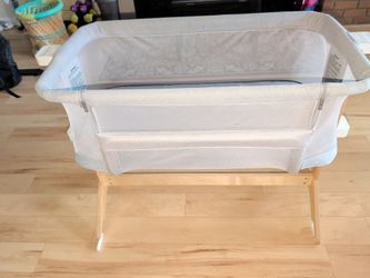 Newton Baby Bassinet with Mattress