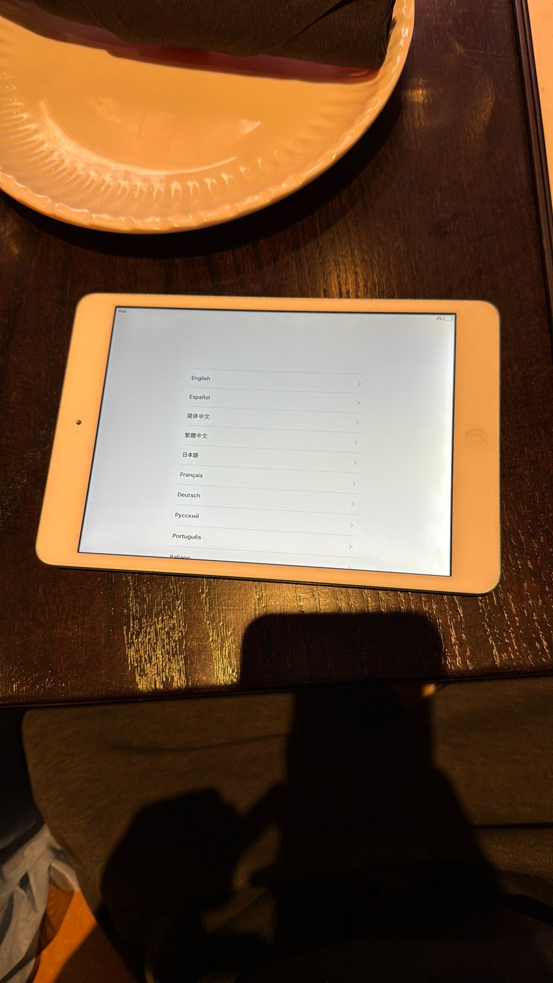 iPad Mini 2