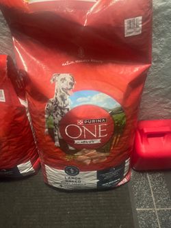 Dog food purina one