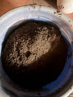 Aqua Soil