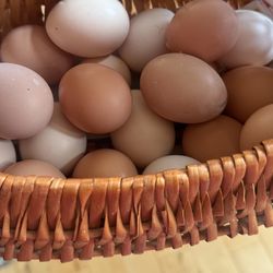 Fresh Eggs