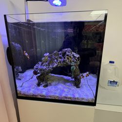 Empty Aquarium with Accessories
