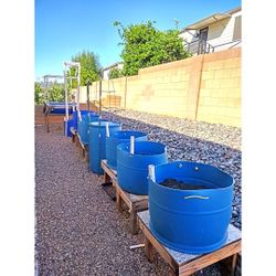 Freedom Raised Bed Garden!