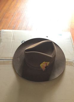 Cow boy hat (Resistol)