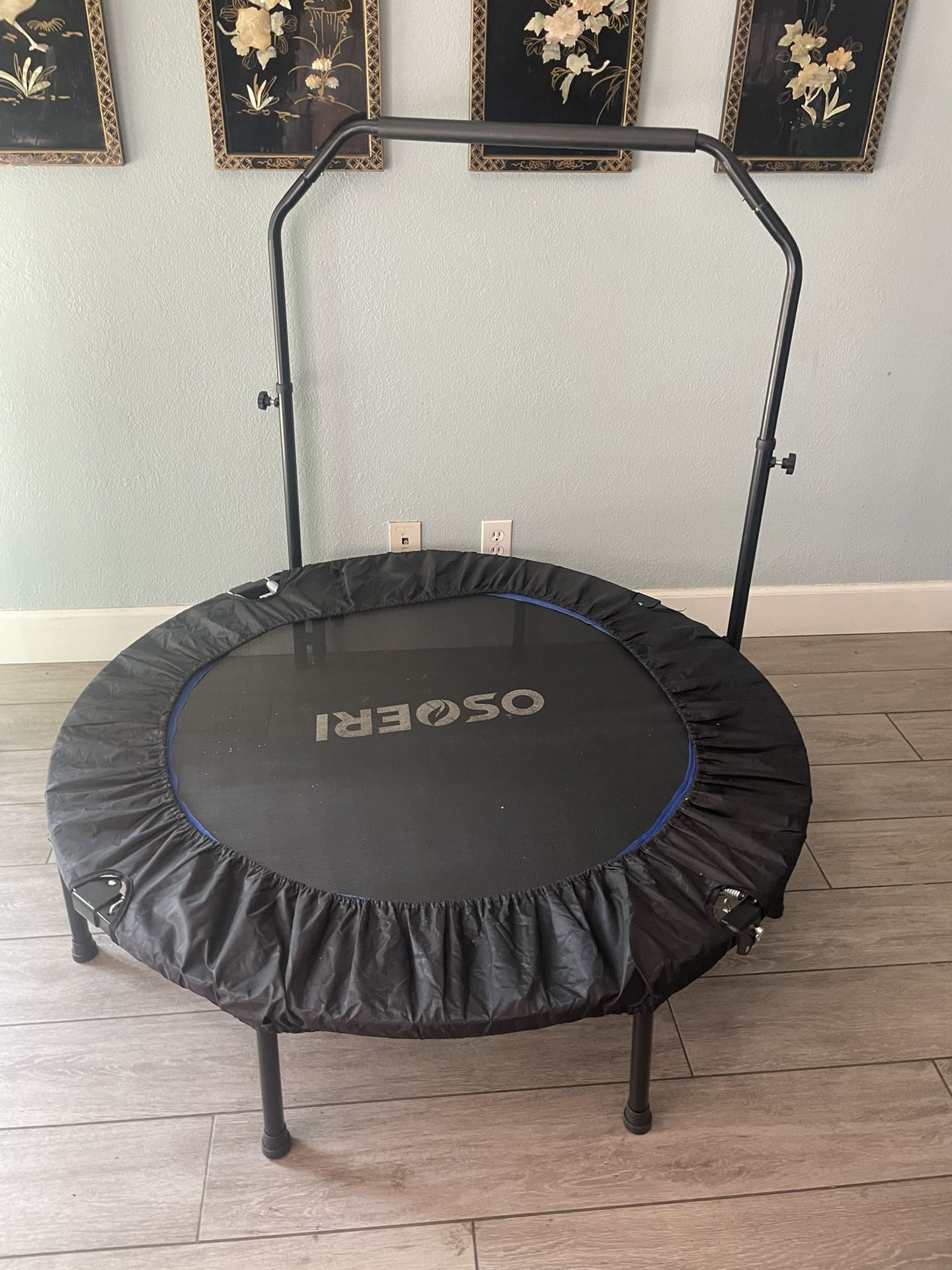 Mini Trampoline