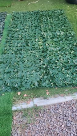 Faux ivy privacy screen