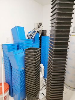 Hydro Buckets | Baskets | Drip Lines