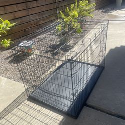 Dog Crate