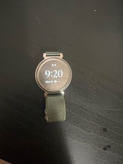 Garmin lily