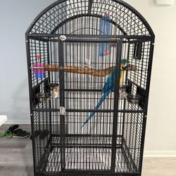 Macaw (cage)