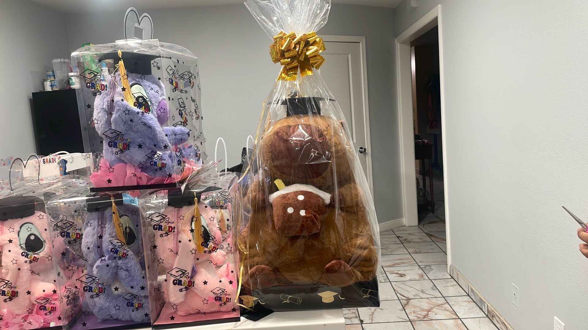 Capybara Plushie Or Labubu Plushie